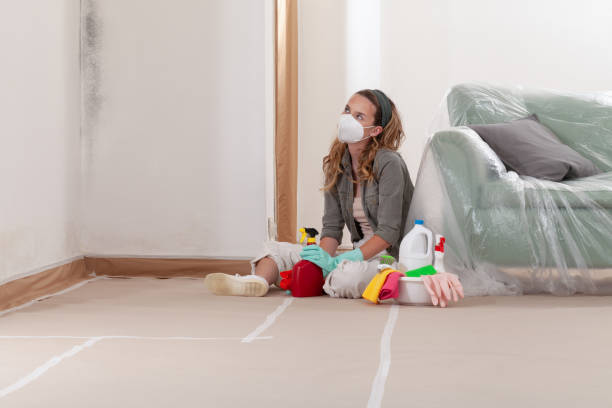 Reliable Mold Removal contractor in Clifton, TN by WQB Mold Removal